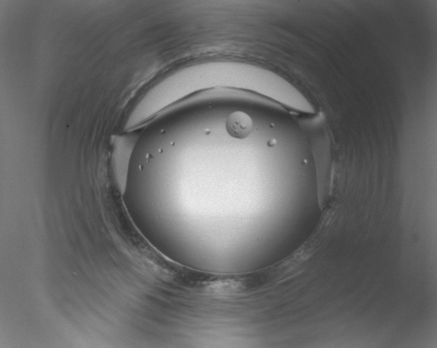 X0000076420168200611031823