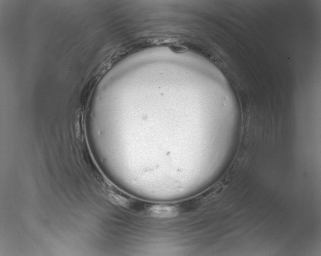 X0000076420169200611031823