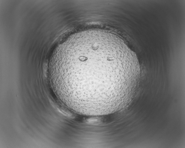 X0000076420171200611031823