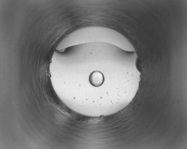 X0000076420172200611031823