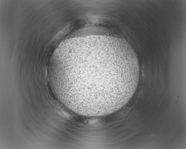 X0000076420173200611031823