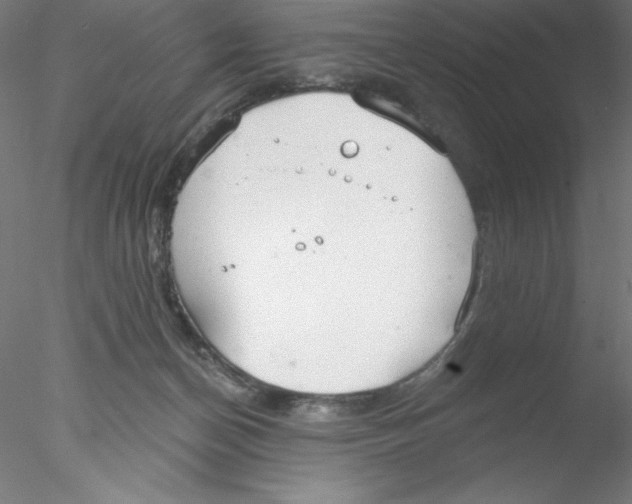 X0000076420174200611031823