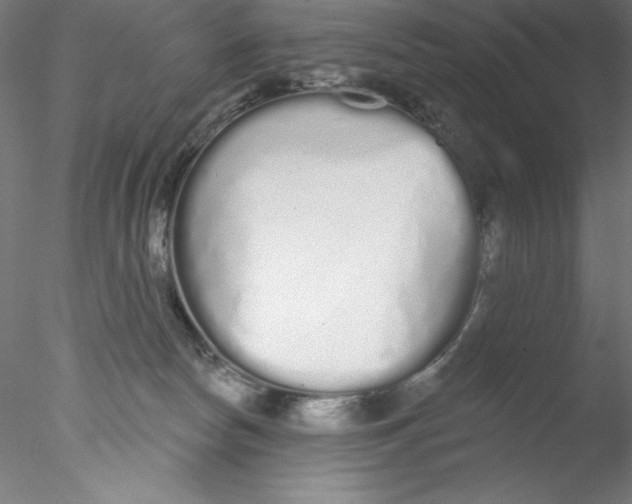 X0000076420178200611031823