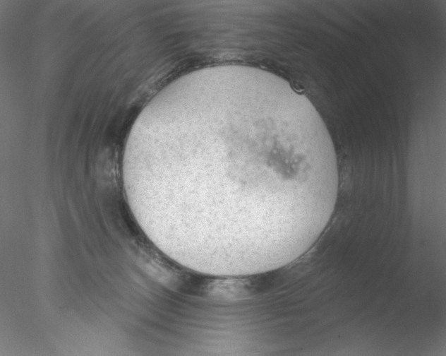 X0000076420179200611031823