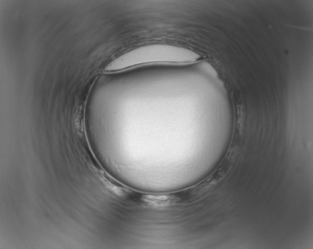 X0000076420181200611031823