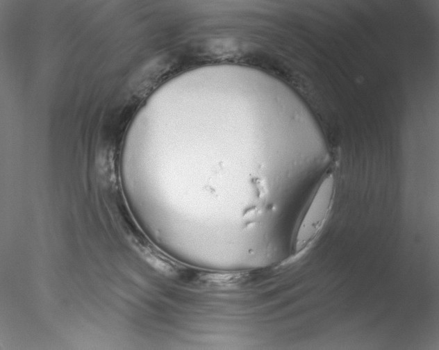 X0000076420182200611031823