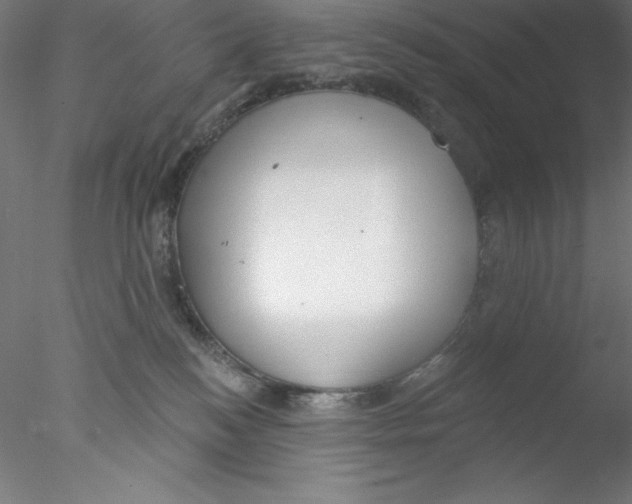 X0000076420184200611031823