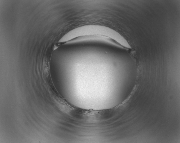 X0000076420186200611031823