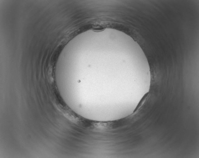 X0000076420187200611031823