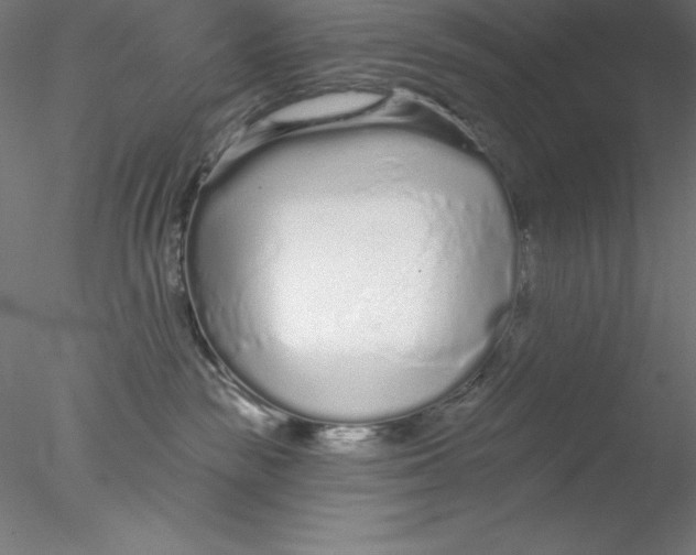 X0000076420189200611031823