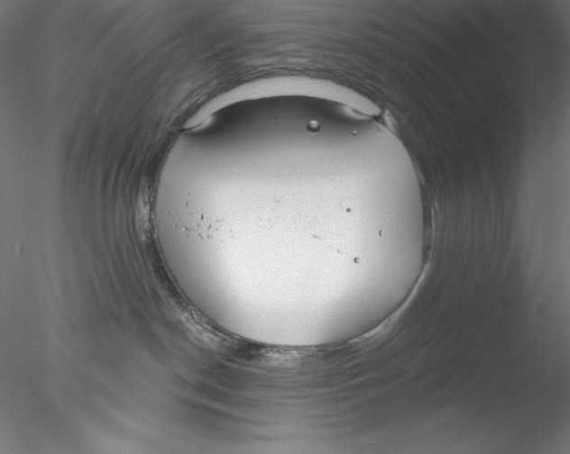 X0000076420190200611031823