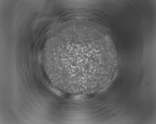 X0000076420191200611031823