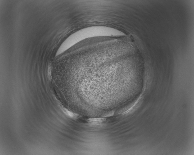 X0000076420192200611031823