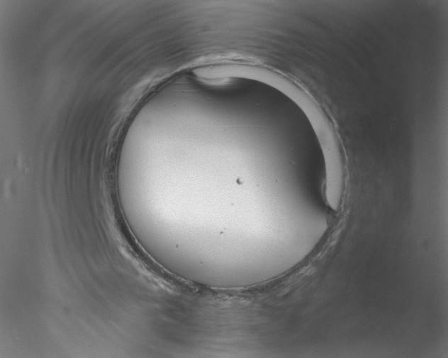 X0000076420193200611031822