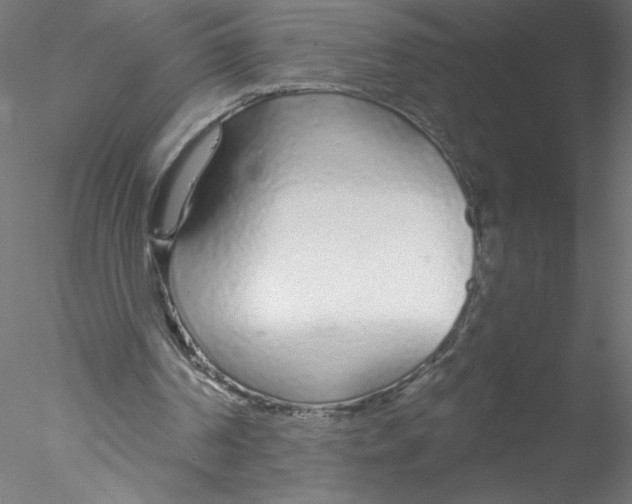 X0000076420194200611031822