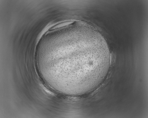 X0000076420195200611031822