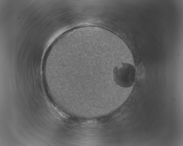 X0000076420196200611031822