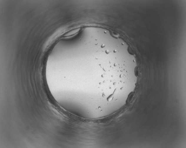 X0000076420197200611031822