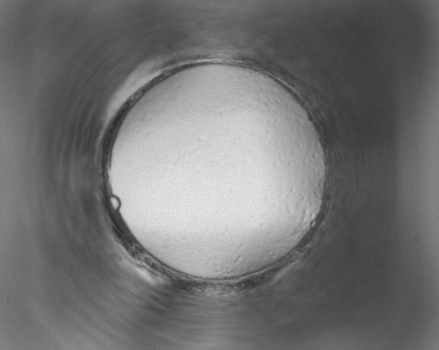 X0000076420198200611031822