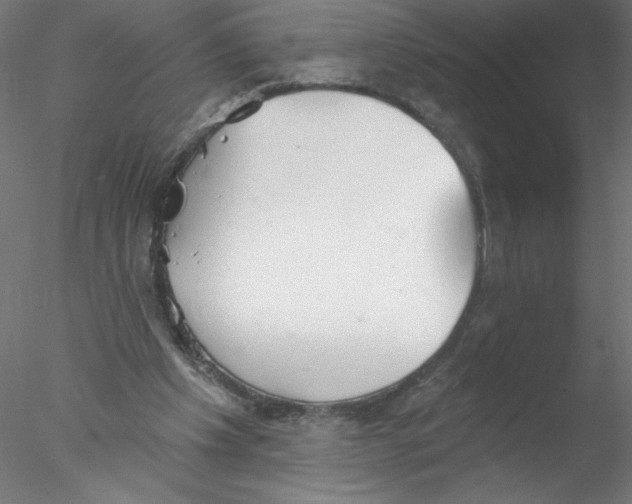 X0000076420201200611031822