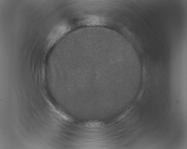 X0000076420202200611031822