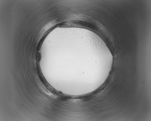 X0000076420203200611031822