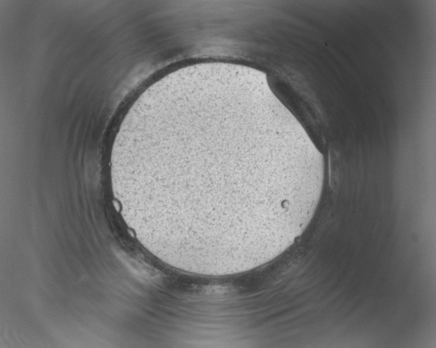 X0000076420204200611031822