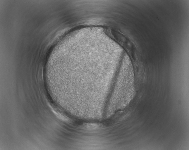 X0000076420205200611031822