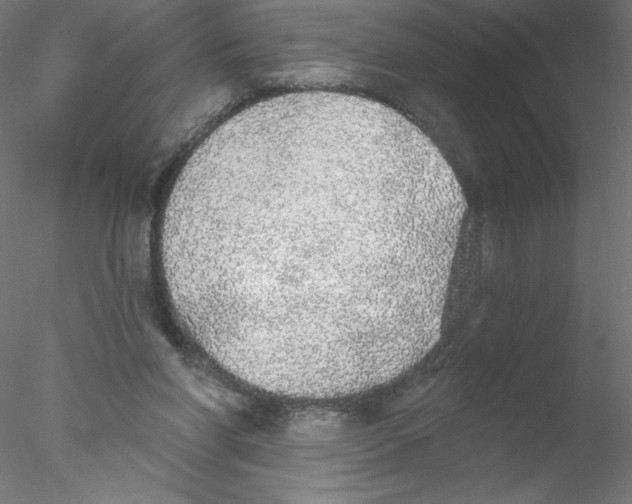 X0000076420206200611031822