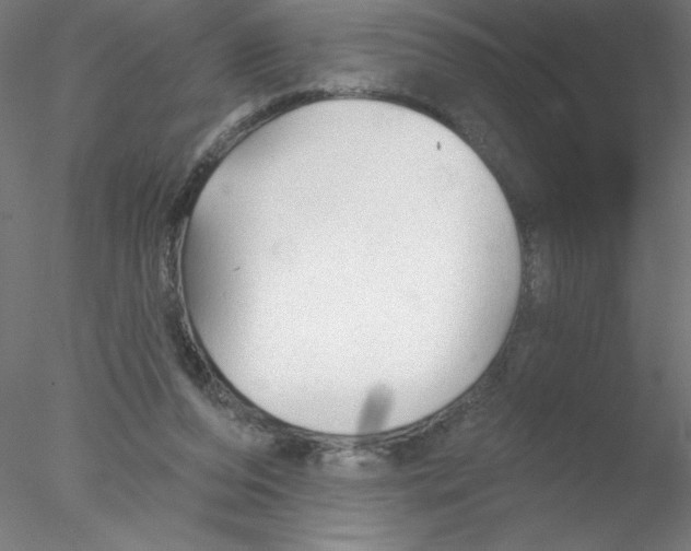 X0000076420208200611031822