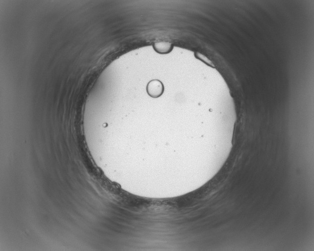 X0000076420209200611031822