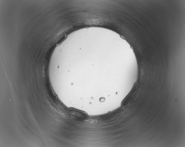 X0000076420211200611031822