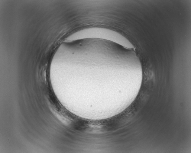 X0000076420214200611031822