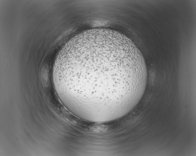 X0000076420215200611031822