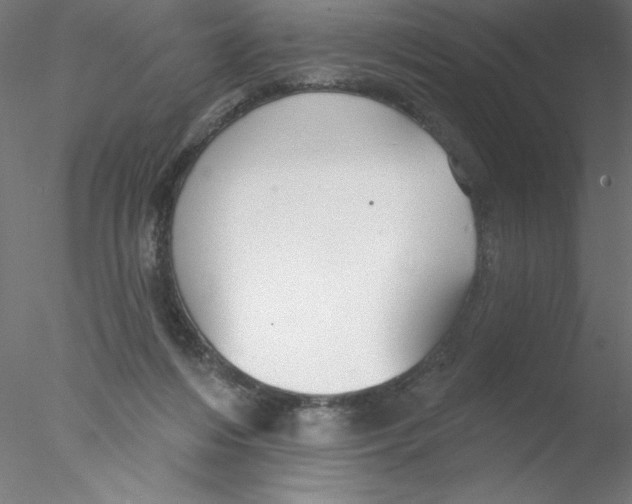 X0000076420216200611031822