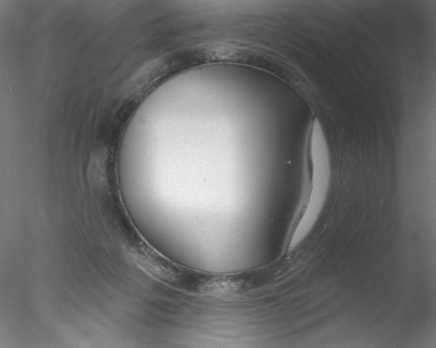 X0000076420217200611031822