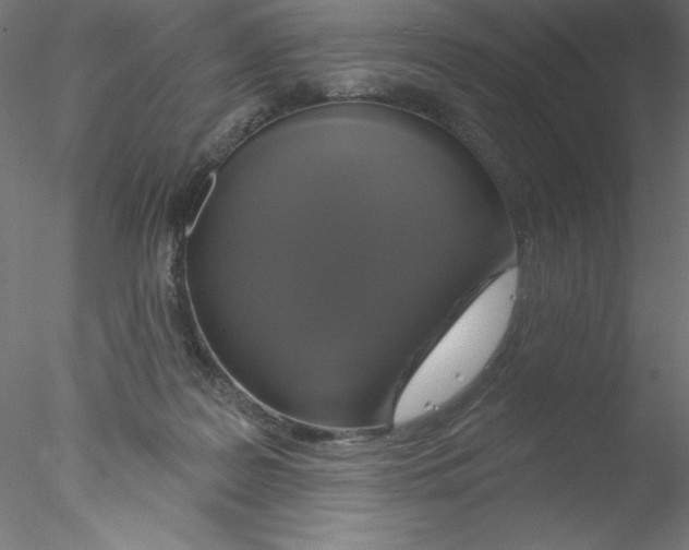 X0000076420219200611031822