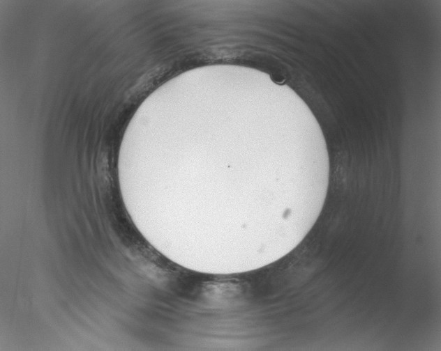 X0000076420220200611031822