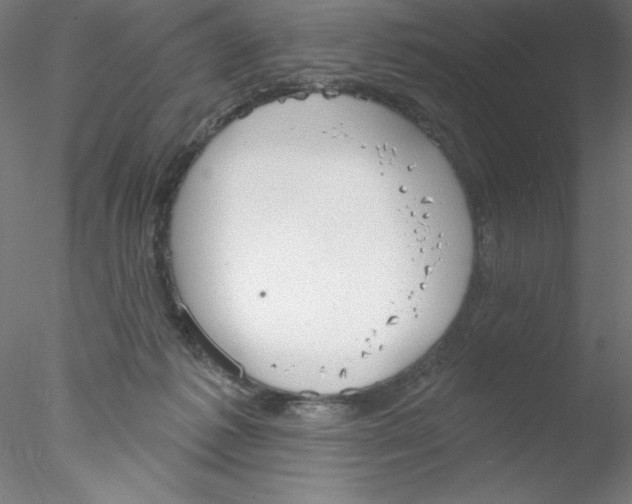 X0000076420221200611031822