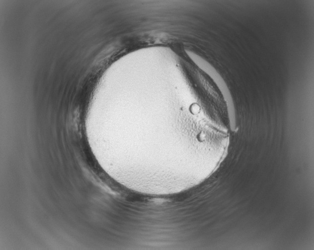 X0000076420222200611031822