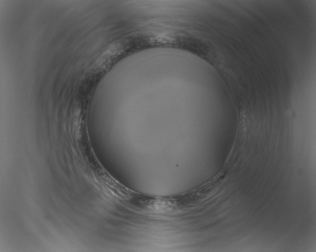 X0000076420223200611031822