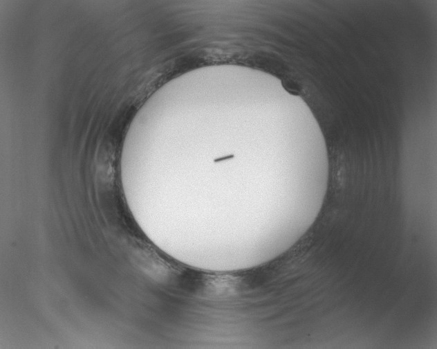 X0000076420226200611031822