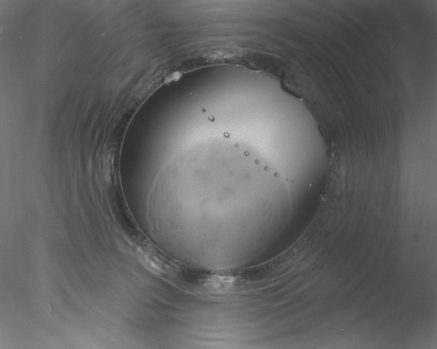 X0000076420227200611031822