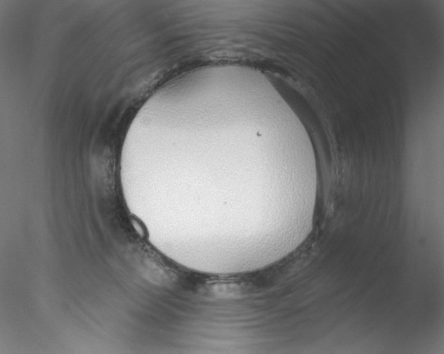 X0000076420228200611031822