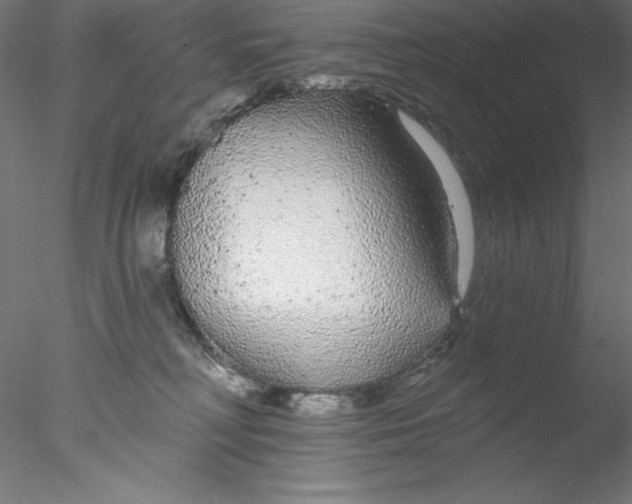 X0000076420230200611031822