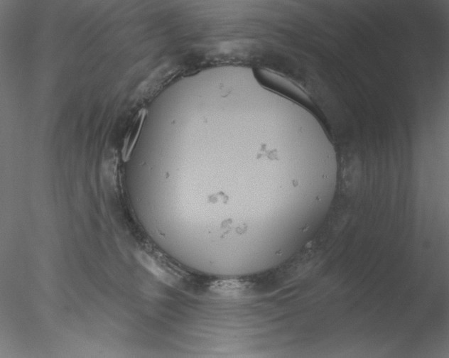 X0000076420231200611031822