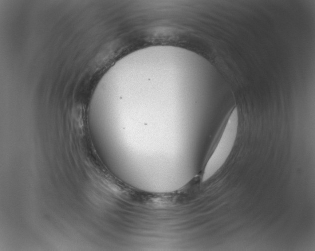 X0000076420232200611031822