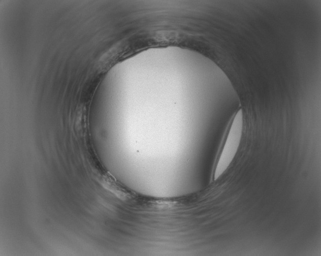 X0000076420233200611031822