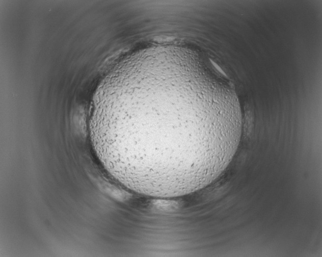 X0000076420234200611031822