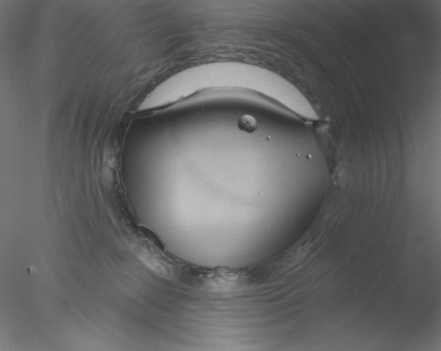 X0000076420235200611031822